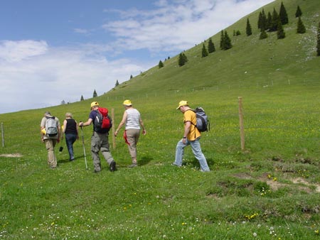 02_Weg zum Jochberg